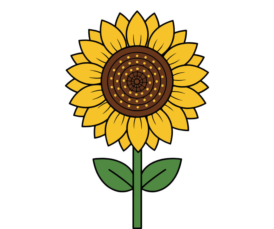 Sunflower growing competition